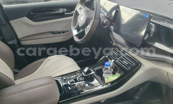 Buy Used BYD Qin l White Car in Addis ababa in Africa Buy Used BYD Qin l White Car in Addis ababa in Africa