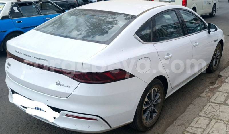 Big with watermark byd qin l africa addis ababa 13240