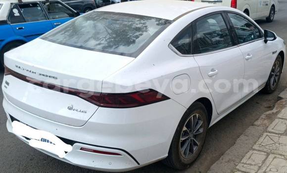 Buy Used BYD Qin l White Car in Addis ababa in Africa Buy Used BYD Qin l White Car in Addis ababa in Africa