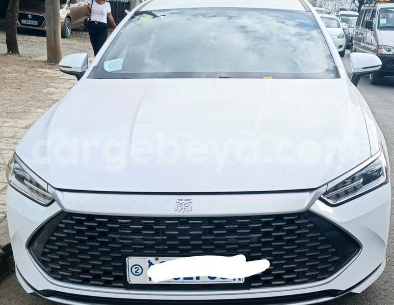 Big with watermark byd qin l africa addis ababa 13240