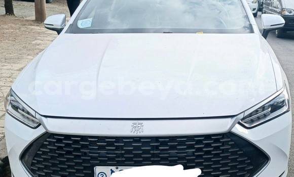 Buy Used BYD Qin l White Car in Addis ababa in Africa Buy Used BYD Qin l White Car in Addis ababa in Africa
