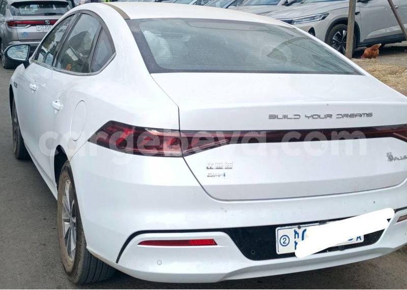 Big with watermark byd qin l africa addis ababa 13240