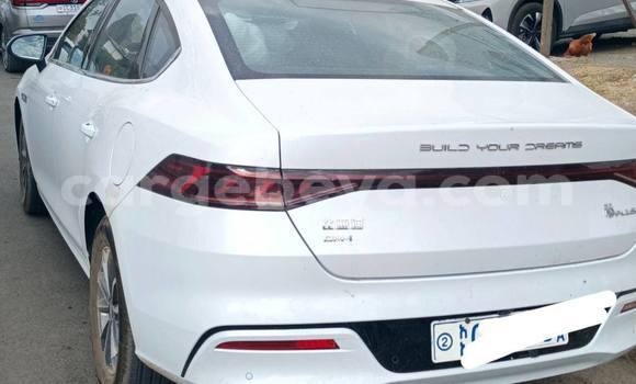 Buy Used BYD Qin l White Car in Addis ababa in Africa Buy Used BYD Qin l White Car in Addis ababa in Africa