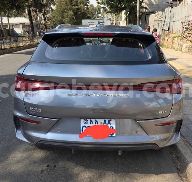 Big with watermark byd e6 ethiopia addis ababa 13242