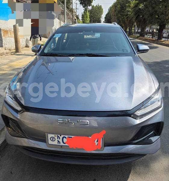 Big with watermark byd e6 ethiopia addis ababa 13242