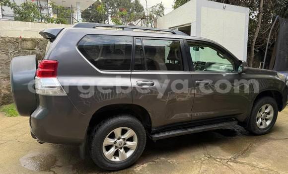 Buy Used Toyota Land Cruiser Prado Other Car in Addis ababa in Africa