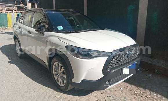 Buy Used Toyota Corolla Cross White Car in Addis ababa in Africa Buy Used Toyota Corolla Cross White Car in Addis ababa in Africa