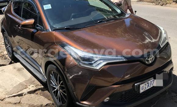 Buy Used Toyota C-HR Other Car in Addis ababa in Africa
