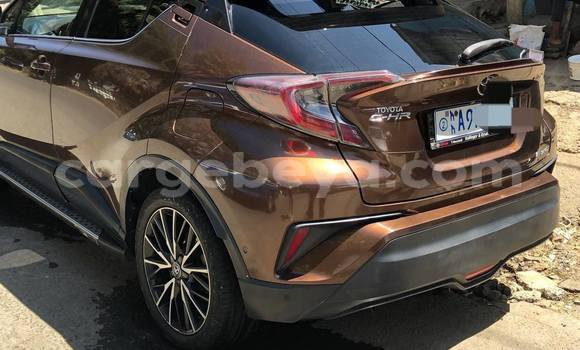 Buy Used Toyota C-HR Other Car in Addis ababa in Africa Buy Used Toyota C-HR Other Car in Addis ababa in Africa