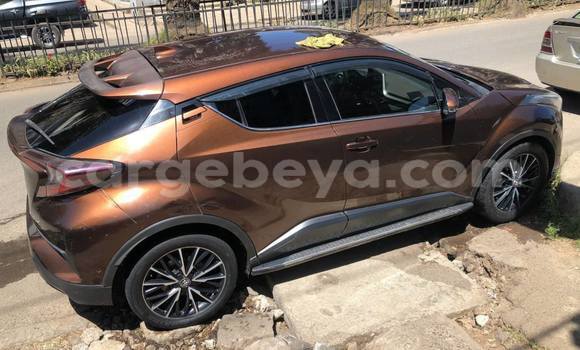Buy Used Toyota C-HR Other Car in Addis ababa in Africa Buy Used Toyota C-HR Other Car in Addis ababa in Africa