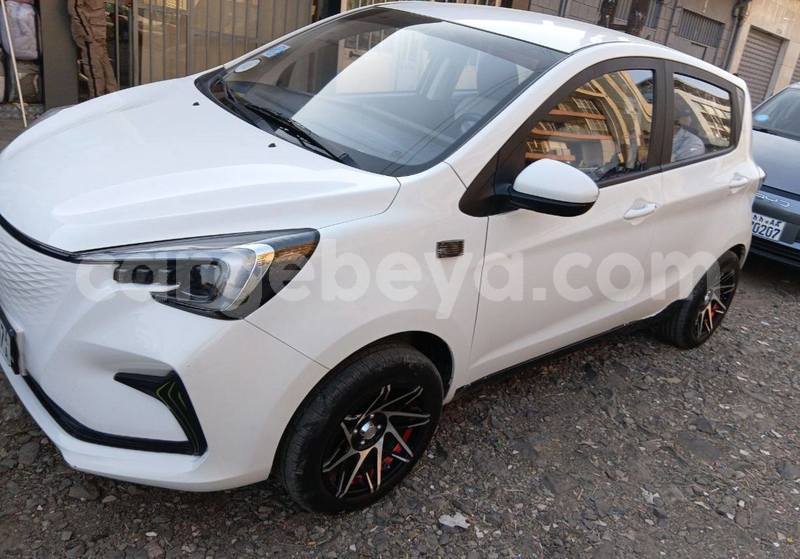 Big with watermark changan eado africa addis ababa 13264