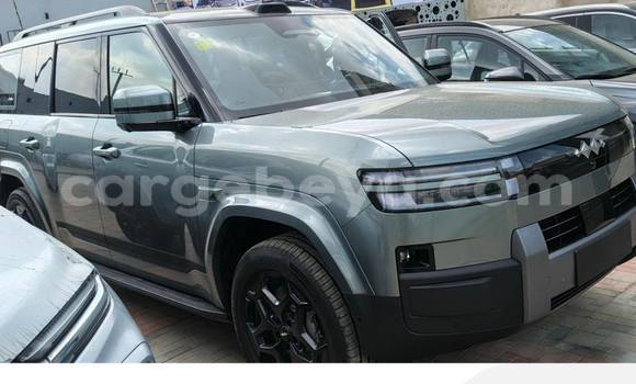 Buy Used BYD Leopard 5 Other Car in Addis–Ababa in Ethiopia