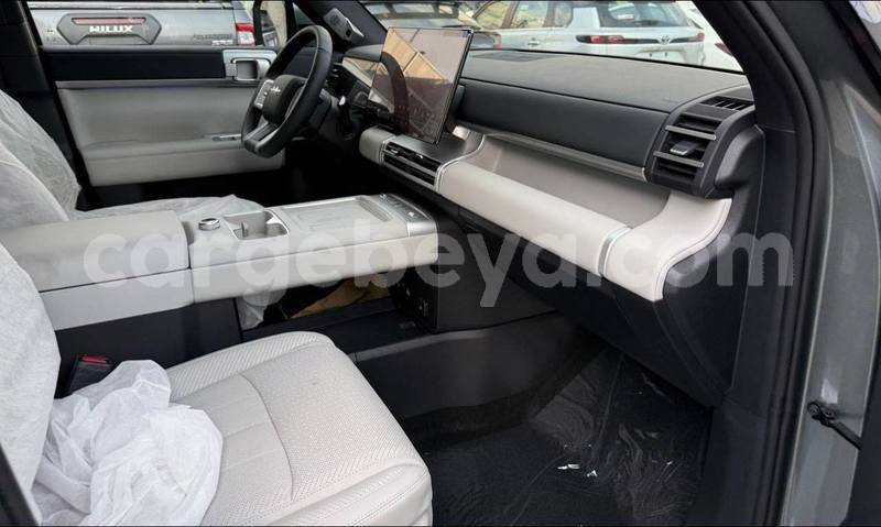 Big with watermark byd leopard 5 ethiopia addis ababa 13267