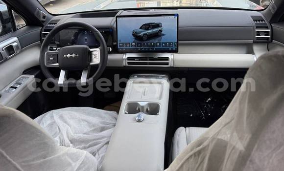 Buy Used BYD Leopard 5 Other Car in Addis–Ababa in Ethiopia Buy Used BYD Leopard 5 Other Car in Addis–Ababa in Ethiopia