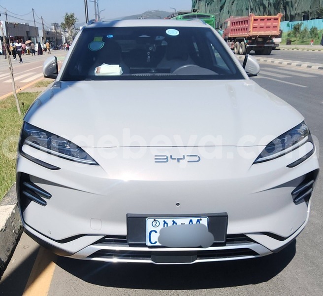 Big with watermark byd s6 ethiopia addis ababa 13269