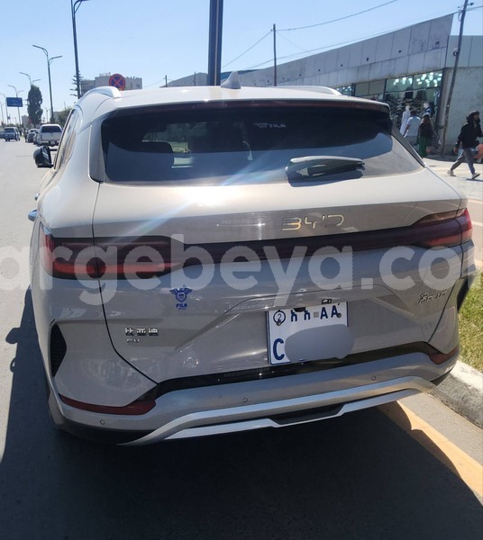 Big with watermark byd s6 ethiopia addis ababa 13269