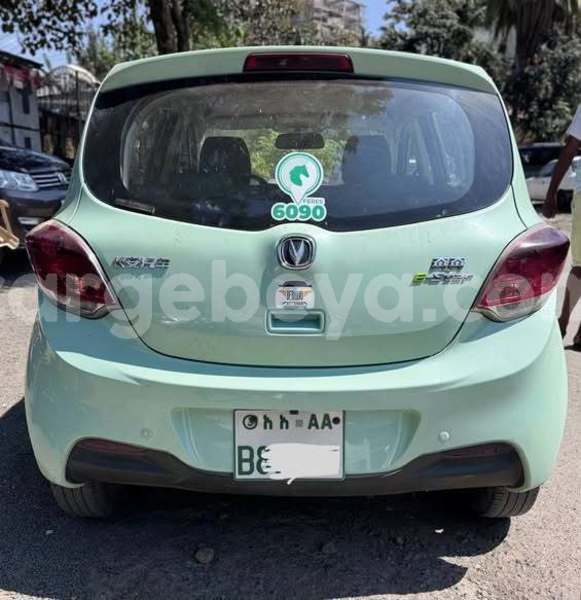 Big with watermark eagle premier africa addis ababa 13284