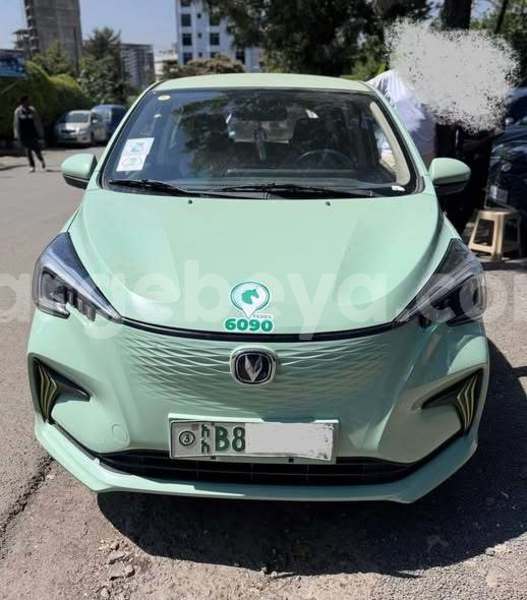 Big with watermark eagle premier africa addis ababa 13284