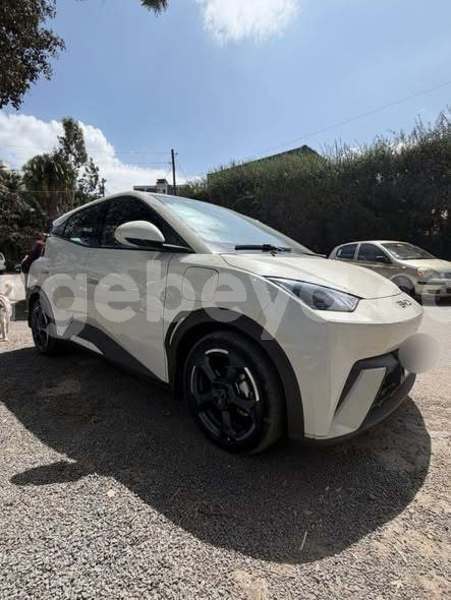 Big with watermark byd f3 ethiopia addis ababa 13288