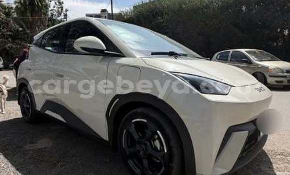 Buy Used BYD F3 Other Car in Addis–Ababa in Ethiopia