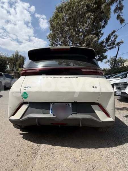 Big with watermark byd f3 ethiopia addis ababa 13288