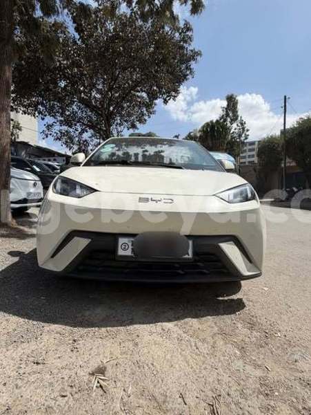 Big with watermark byd f3 ethiopia addis ababa 13288