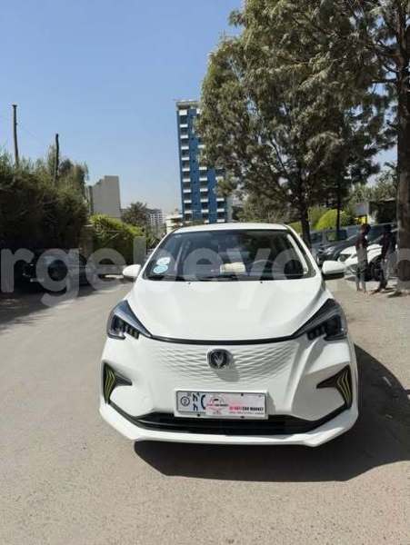 Big with watermark toyota 4runner africa addis ababa 13292