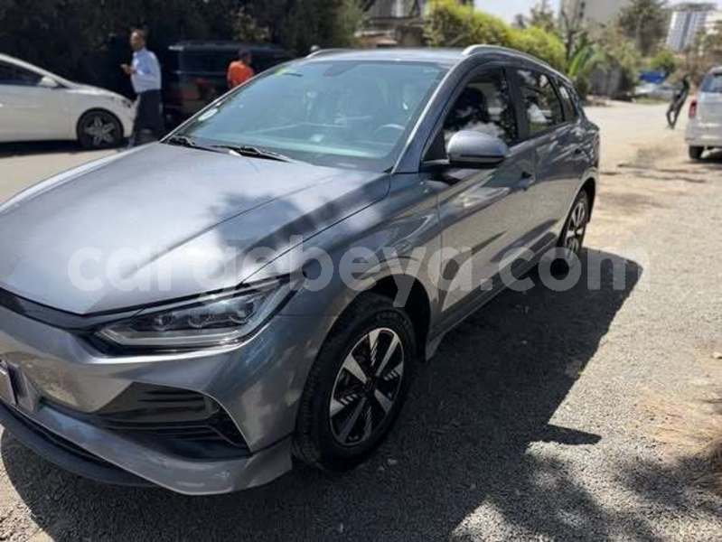 Big with watermark byd f3 ethiopia addis ababa 13302