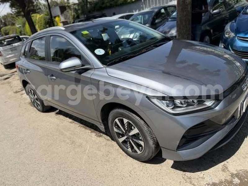 Big with watermark byd f3 ethiopia addis ababa 13302