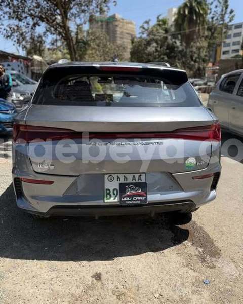 Big with watermark byd f3 ethiopia addis ababa 13302