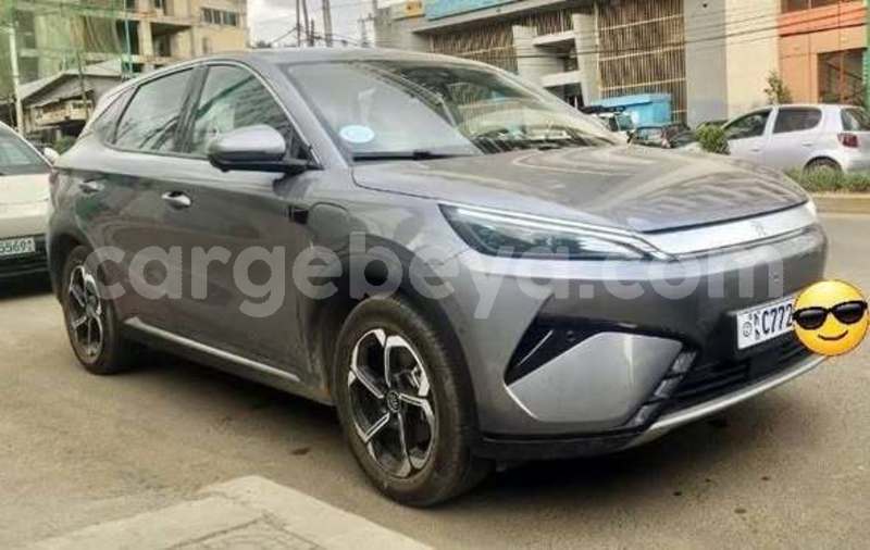 Big with watermark toyota alphard africa addis ababa 13303