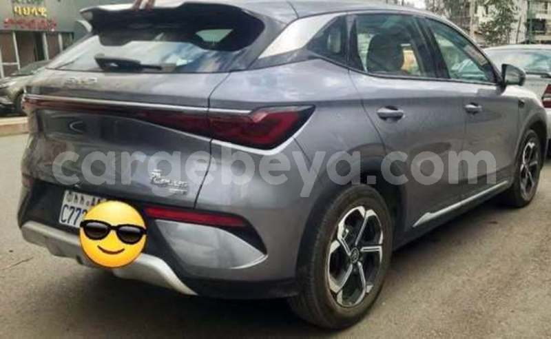 Big with watermark toyota alphard africa addis ababa 13303