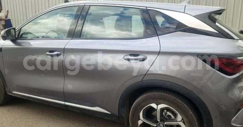 Big with watermark toyota alphard africa addis ababa 13303