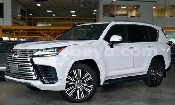 Buy Used Lexus LX White Car in Addis–Ababa in Ethiopia