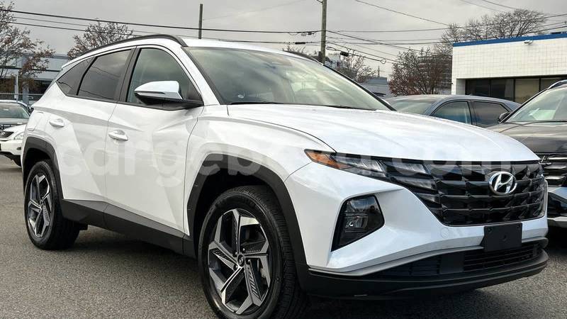 Big with watermark hyundai tucson africa addis ababa 13325