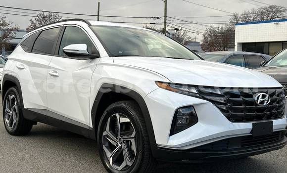 Buy Used Hyundai Tucson White Car in Addis ababa in Africa