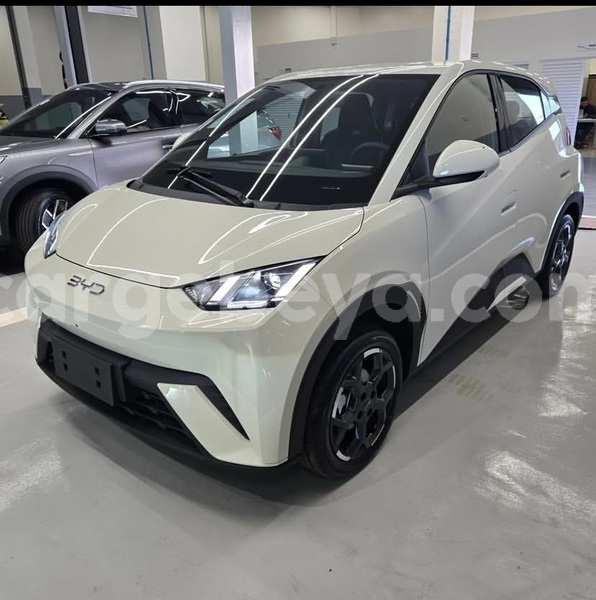 Big with watermark byd seagull africa addis ababa 13335