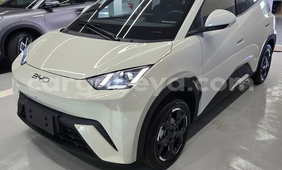 Acheter Occasion Voiture BYD Seagull Blanc à Addis ababa, Africa