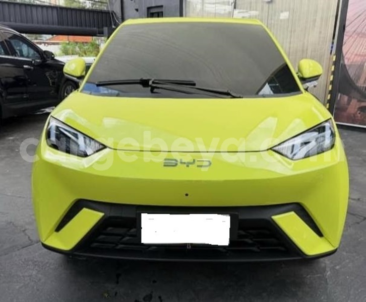 Big with watermark byd seagull africa addis ababa 13335