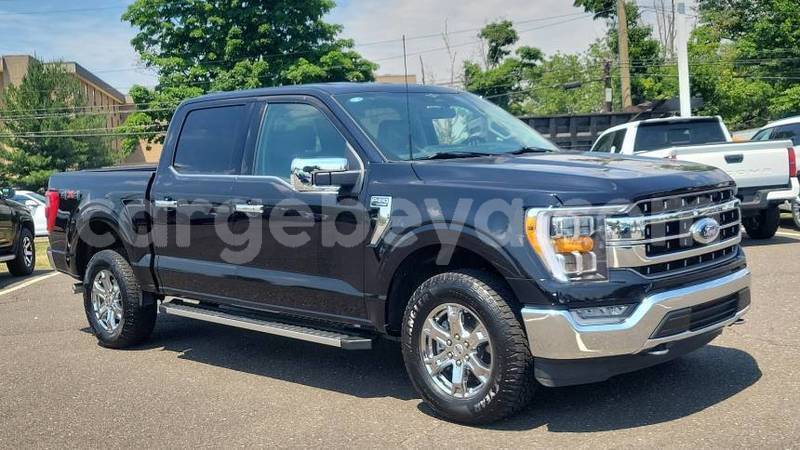 Big with watermark ford f 150 africa addis ababa 13338