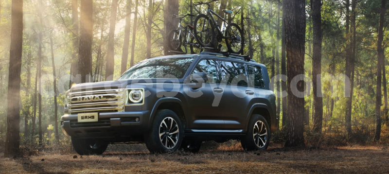 Big with watermark haval h9 ethiopia debre tabor 13339
