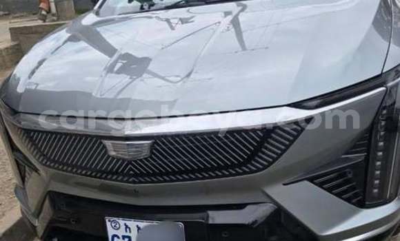 Buy Used Toyota Corolla Other Car in AddisâAbaba in Ethiopia Buy Used Toyota Corolla Other Car in AddisâAbaba in Ethiopia