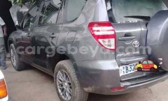Buy Used Toyota RAV4 Other Car in Addis–Ababa in Ethiopia