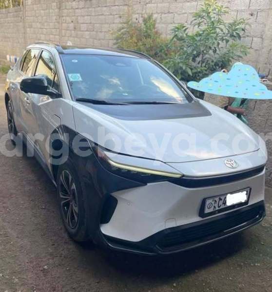 Big with watermark toyota blizzard africa addis ababa 13355