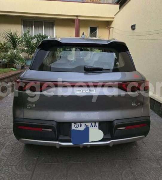 Big with watermark byd yuan pro ethiopia addis ababa 13357