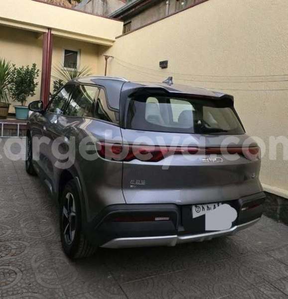 Big with watermark byd yuan pro ethiopia addis ababa 13357