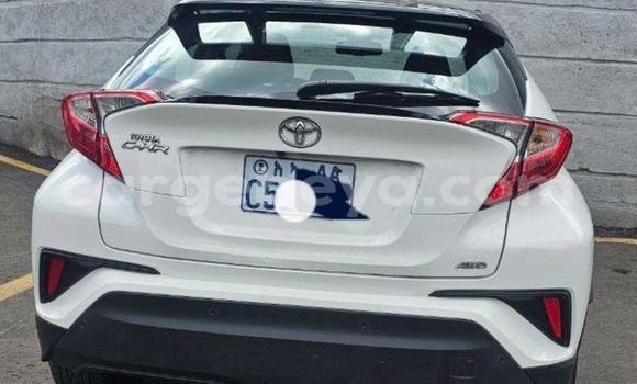 ይግዙ ያገለገለ Toyota C-HR ነጭ መኪና በ አዲስ አበባ በ ኢትዮጵያ ይግዙ ያገለገለ Toyota C-HR ነጭ መኪና በ አዲስ አበባ በ ኢትዮጵያ