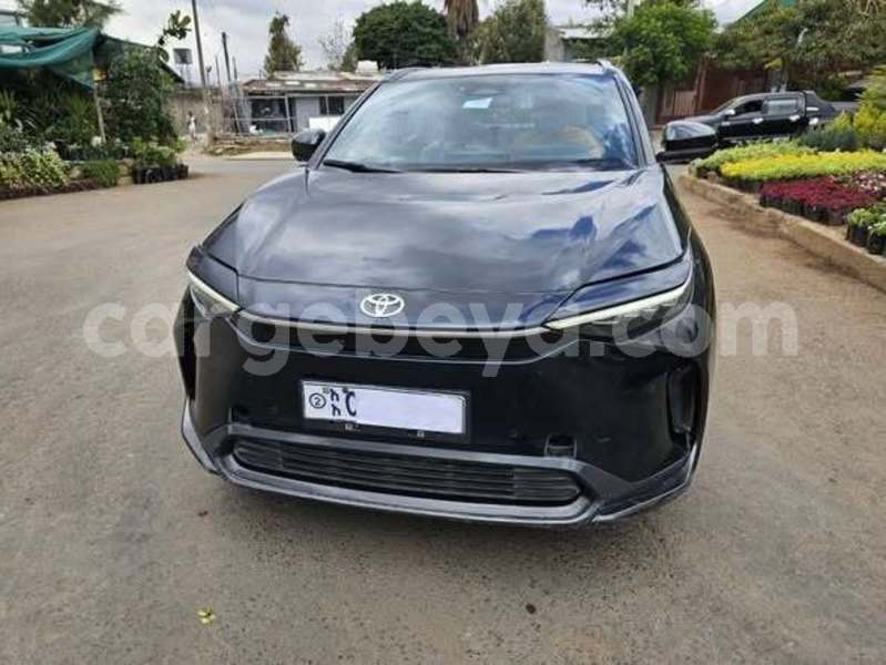 Big with watermark toyota blizzard africa addis ababa 13364