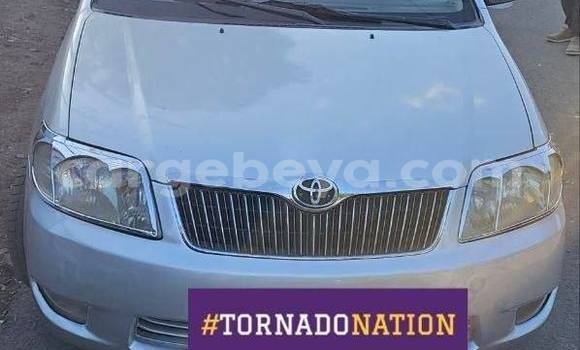 Buy Used Toyota Corolla Other Car in Addis–Ababa in Ethiopia Buy Used Toyota Corolla Other Car in Addis–Ababa in Ethiopia