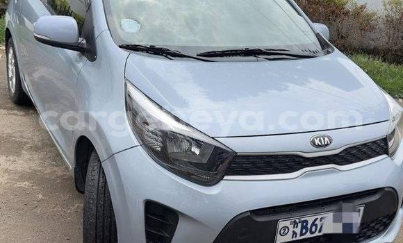 Buy Used Kia Picanto Other Car in Addis–Ababa in Ethiopia